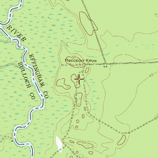 Topographic Map of Raccoon Keys, GA