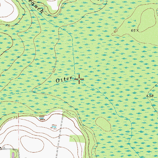 Topographic Map of Reedy Branch, GA