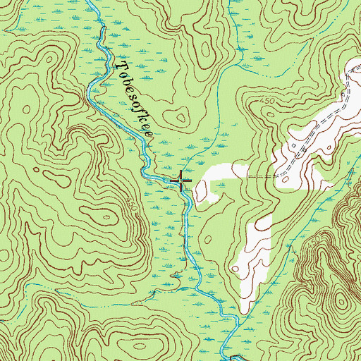 Topographic Map of Reedy Creek, GA
