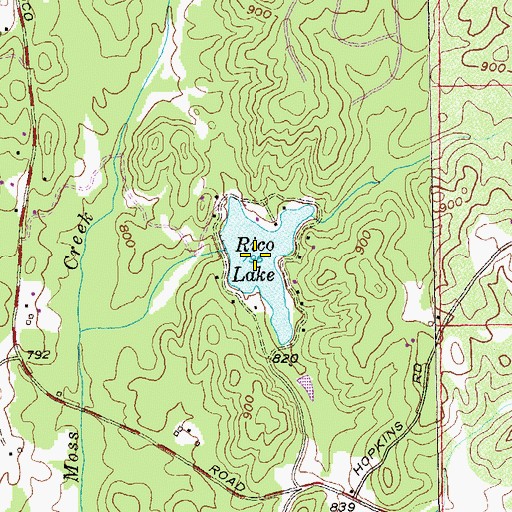 Topographic Map of Rico Lake, GA