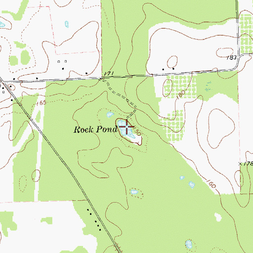 Topographic Map of Rock Pond, GA