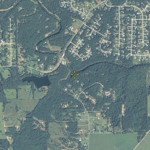 Aerial/Satellite Image of Rocky Branch, GA