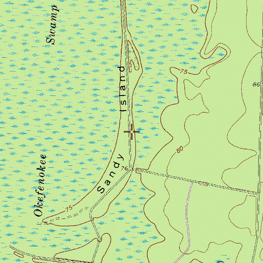 Topographic Map of Sandy Island, GA