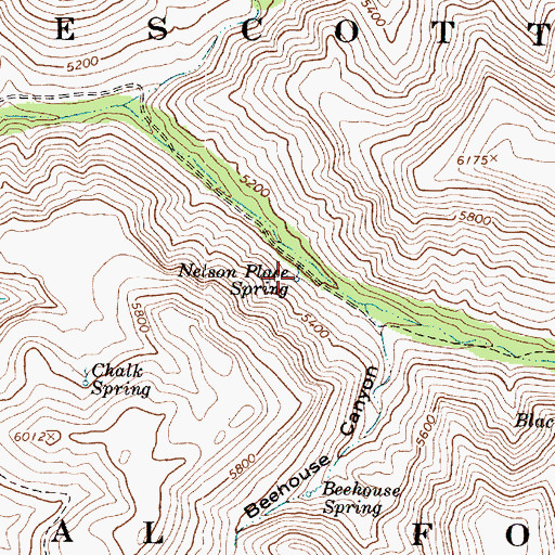 Topographic Map of Nelson Place Spring, AZ