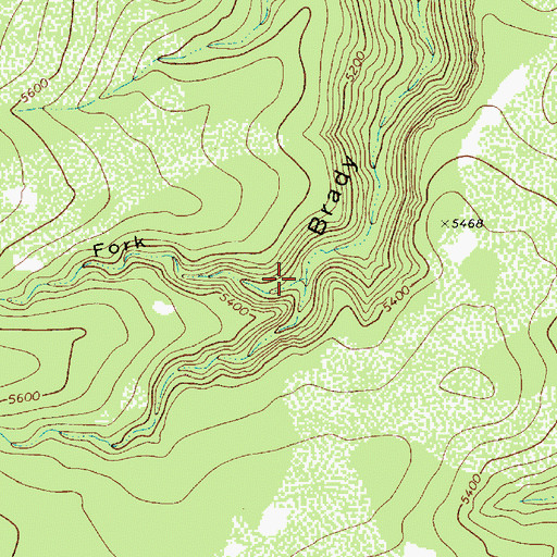 Topographic Map of North Fork Brady Canyon, AZ