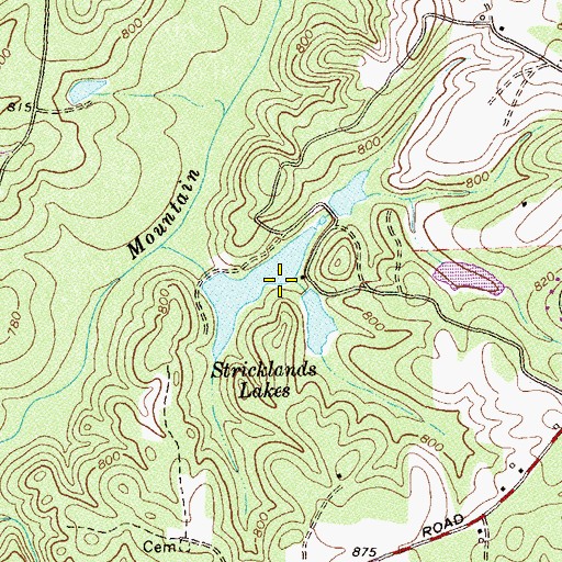 Topographic Map of Stricklands Lakes, GA