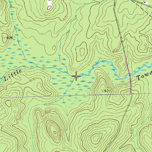 Topographic Map of Swan Creek, GA