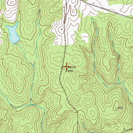 Topographic Map of Taylor Cemetery, GA