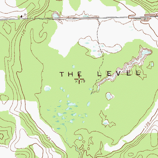 Topographic Map of The Level, GA