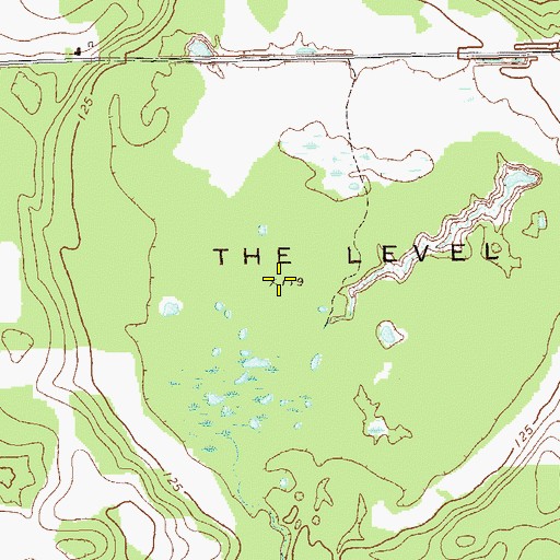Topographic Map of The Level, GA