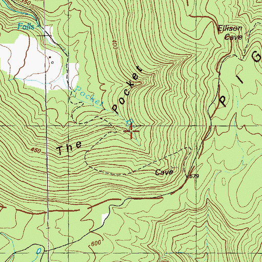 Topographic Map of The Pocket, GA