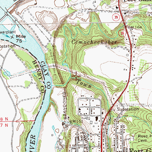 Topographic Map of Town Branch, GA