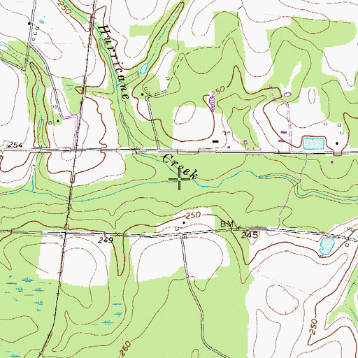 Topographic Map of Town Creek, GA