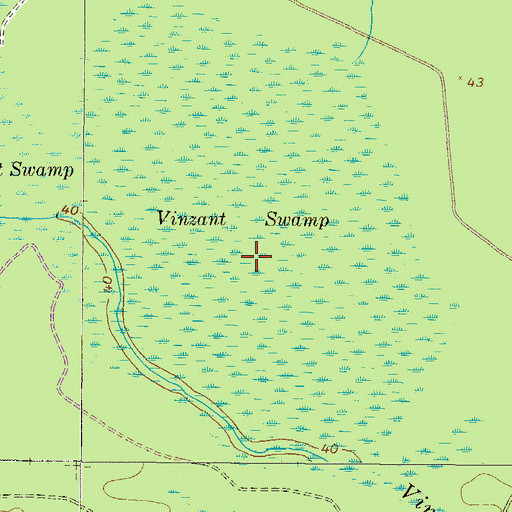 Topographic Map of Vinzant Swamp, GA