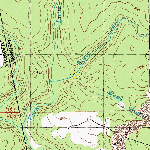 Topographic Map of Wade Branch, GA