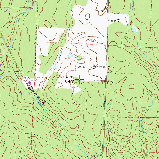 Topographic Map of Watkins Cemetery, GA