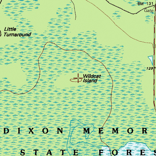 Topographic Map of Wildcat Island, GA