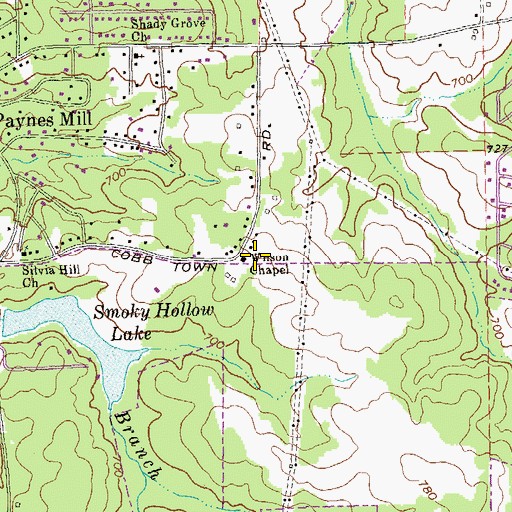 Topographic Map of Wilson Chapel, GA