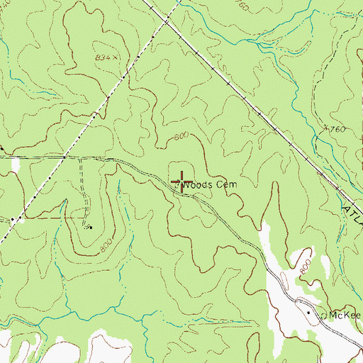 Topographic Map of Woods Cemetery, GA