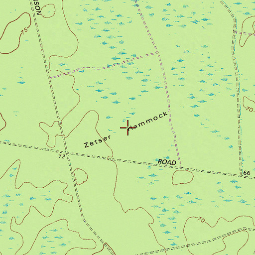 Topographic Map of Zetser Hammock, GA