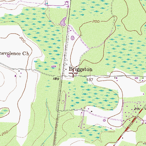 Topographic Map of Briggston, GA