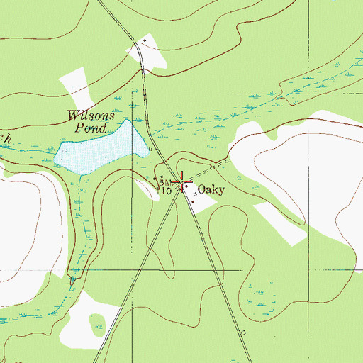 Topographic Map of Oaky, GA