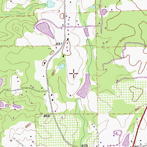 Topographic Map of S & S Landing Strip, GA