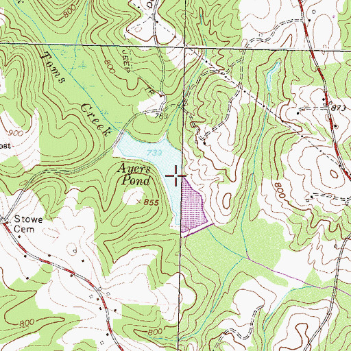 Topographic Map of Ayers Pond, GA
