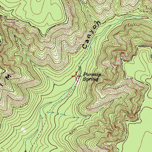 Topographic Map of Parsnip Spring, AZ