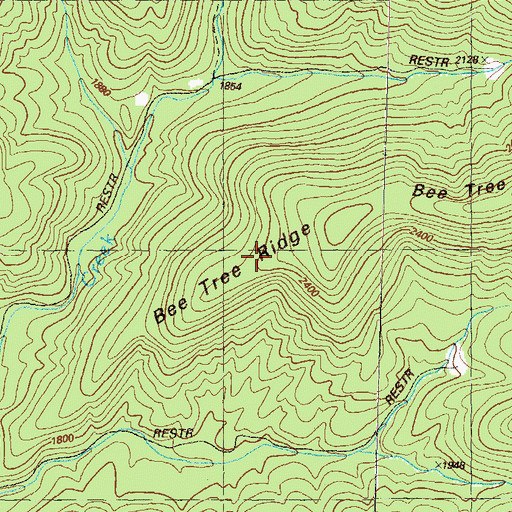 Topographic Map of Bee Tree Ridge, GA