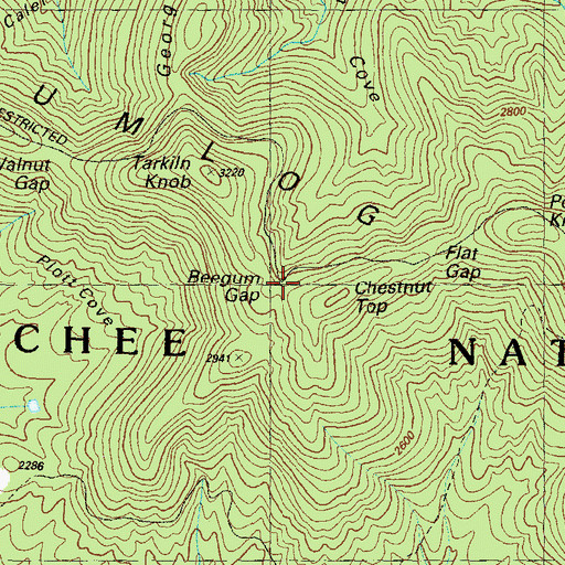 Topographic Map of Beegum Gap, GA