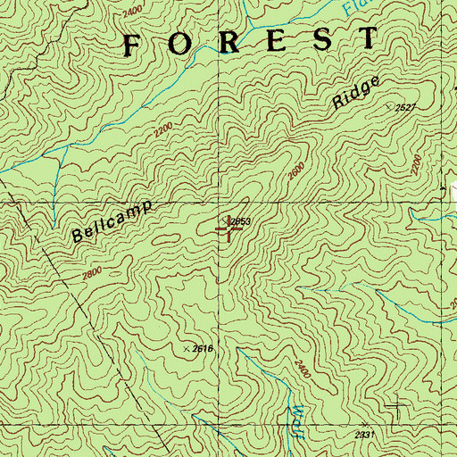 Topographic Map of Bellcamp Ridge, GA