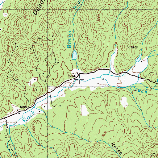 Topographic Map of Bream Branch, GA