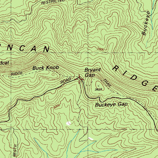 Topographic Map of Bryant Gap, GA