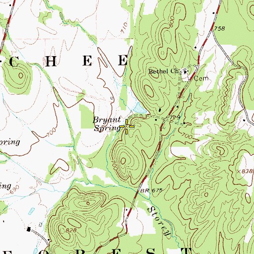 Topographic Map of Bryant Spring, GA