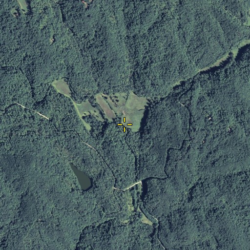Aerial/Satellite Image of Bull Creek, GA