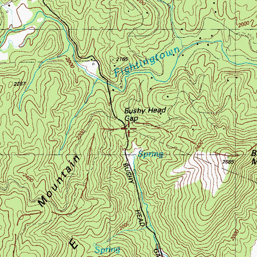 Topographic Map of Bushy Head Gap, GA