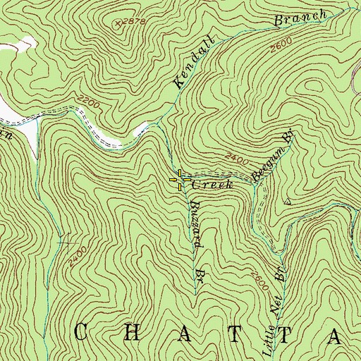 Topographic Map of Buzzard Branch, GA