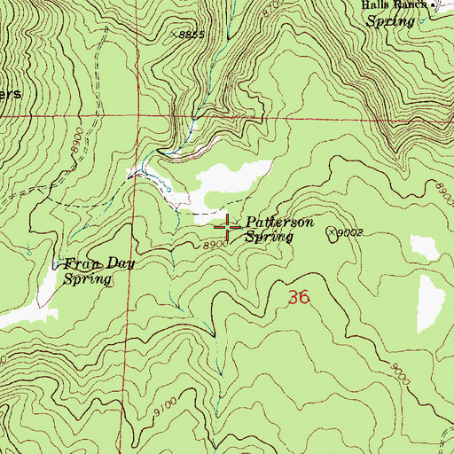 Topographic Map of Patterson Spring, AZ