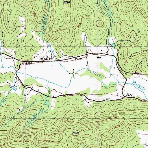 Topographic Map of Carson Branch, GA