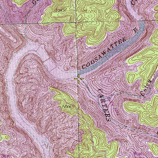 Topographic Map of Coley Creek, GA