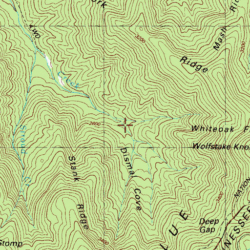 Topographic Map of Dismal Cove, GA