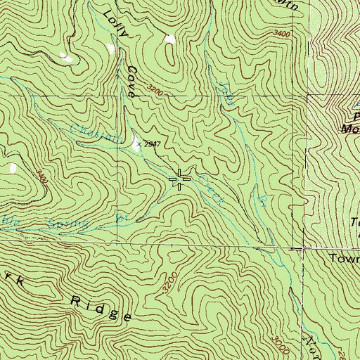 Topographic Map of Double Spring Branch, GA
