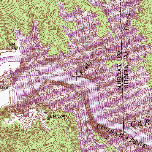 Topographic Map of Fisher Creek, GA