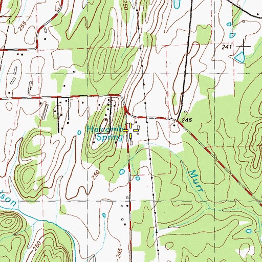 Topographic Map of Halcomb Spring, GA