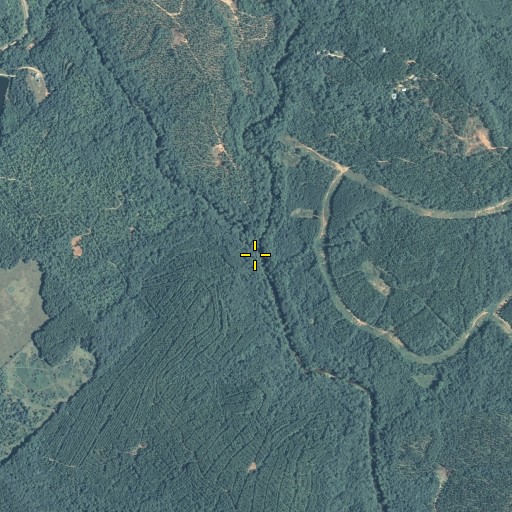Aerial/Satellite Image of Jacks Creek, GA