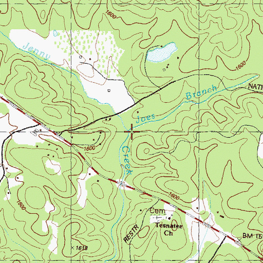 Topographic Map of Joes Branch, GA