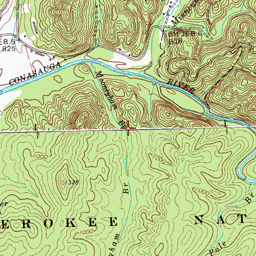 Topographic Map of Mooneyham Branch, GA