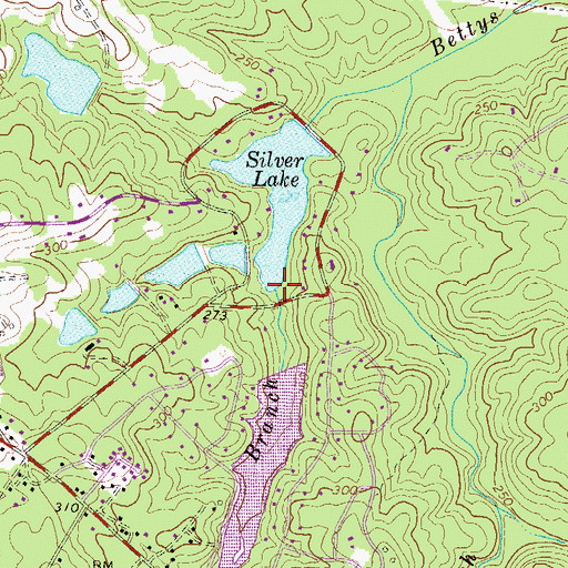 Topographic Map of Mount Enna Branch, GA