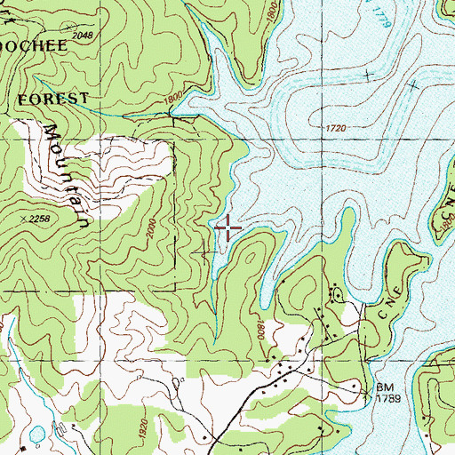 Topographic Map of Nottely Lake, GA